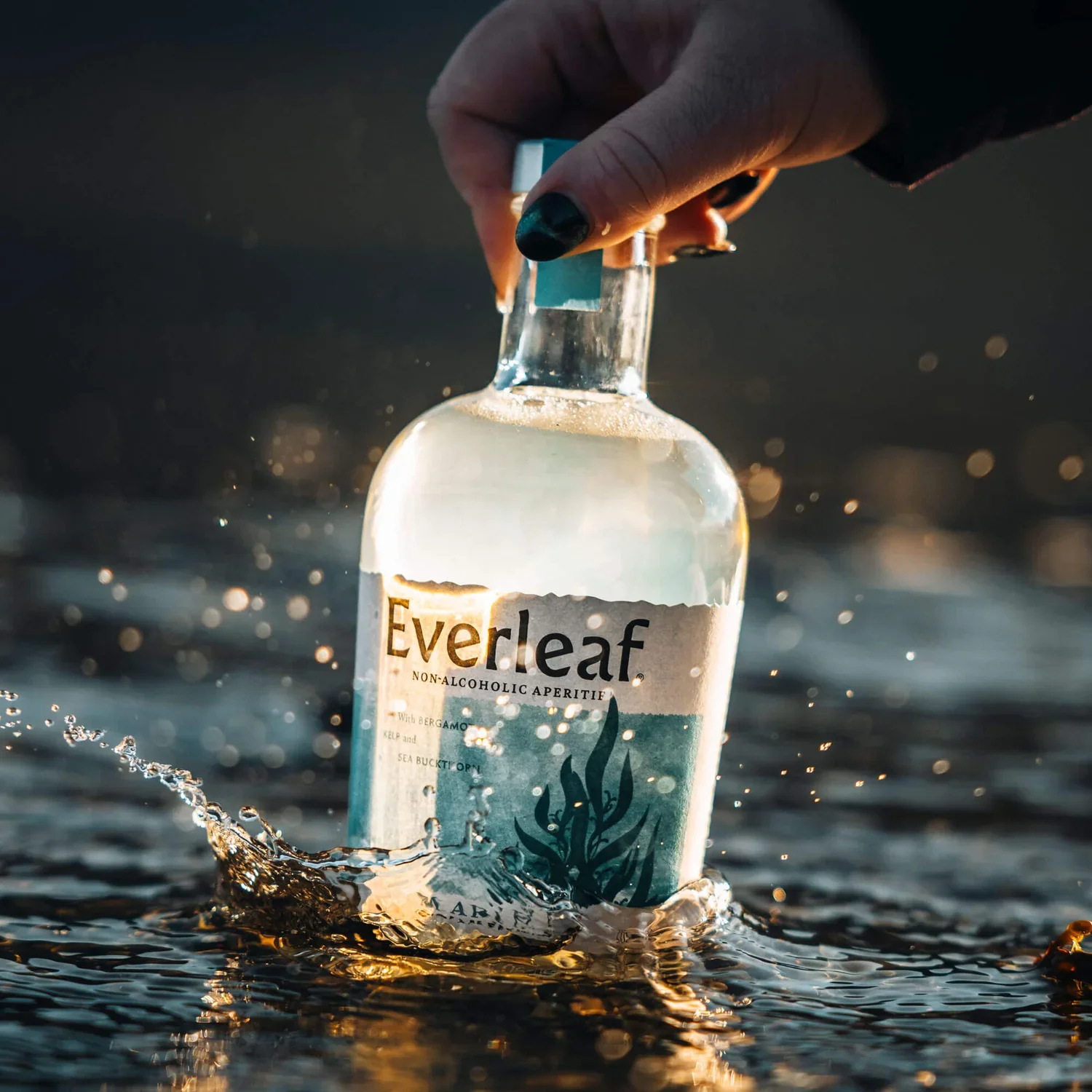 Everleaf - Marine Non-Alcoholic Apéritif - Image 2