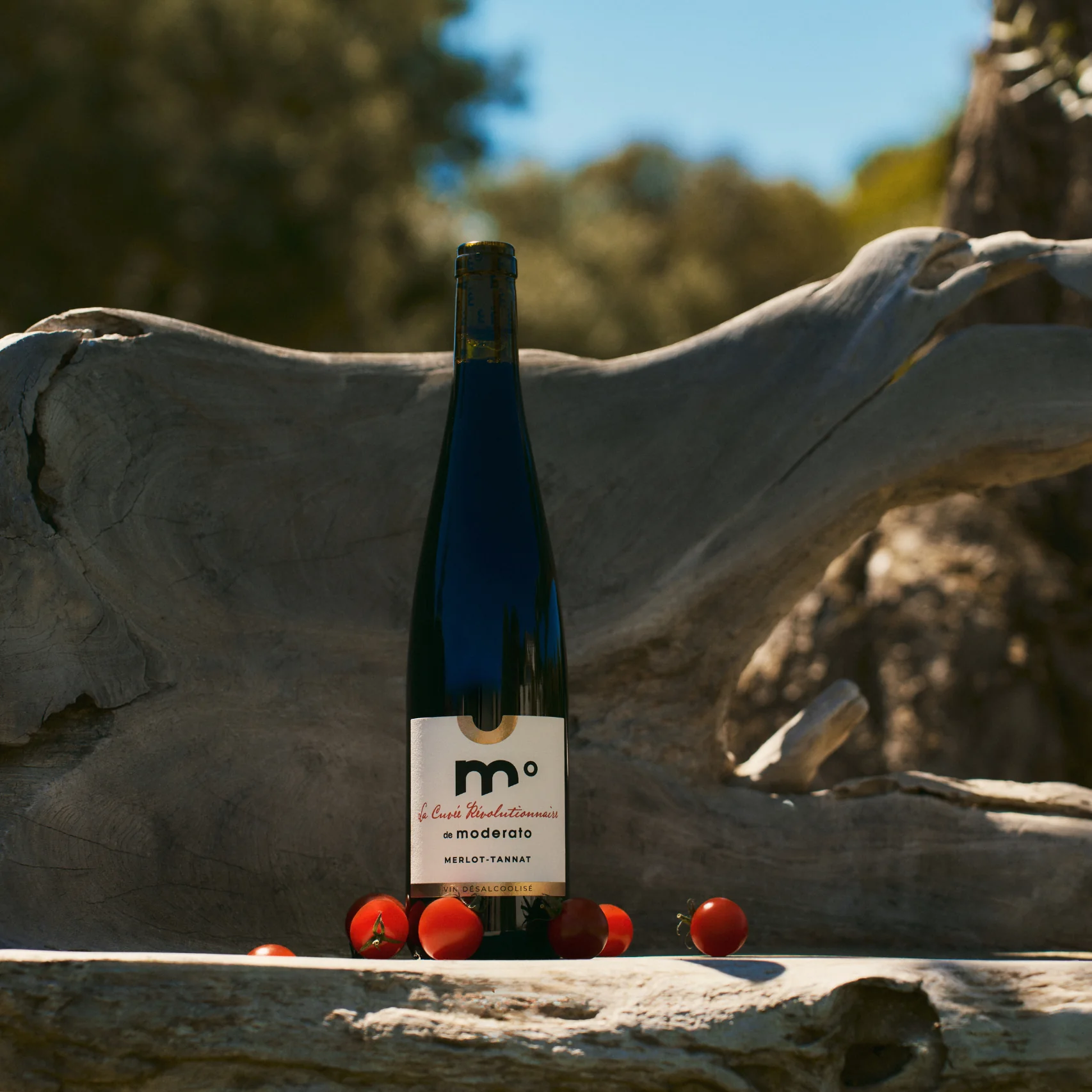 Moderato - Cuvee Rev Rouge (Merlot-Tannat) 750ml - Image 3