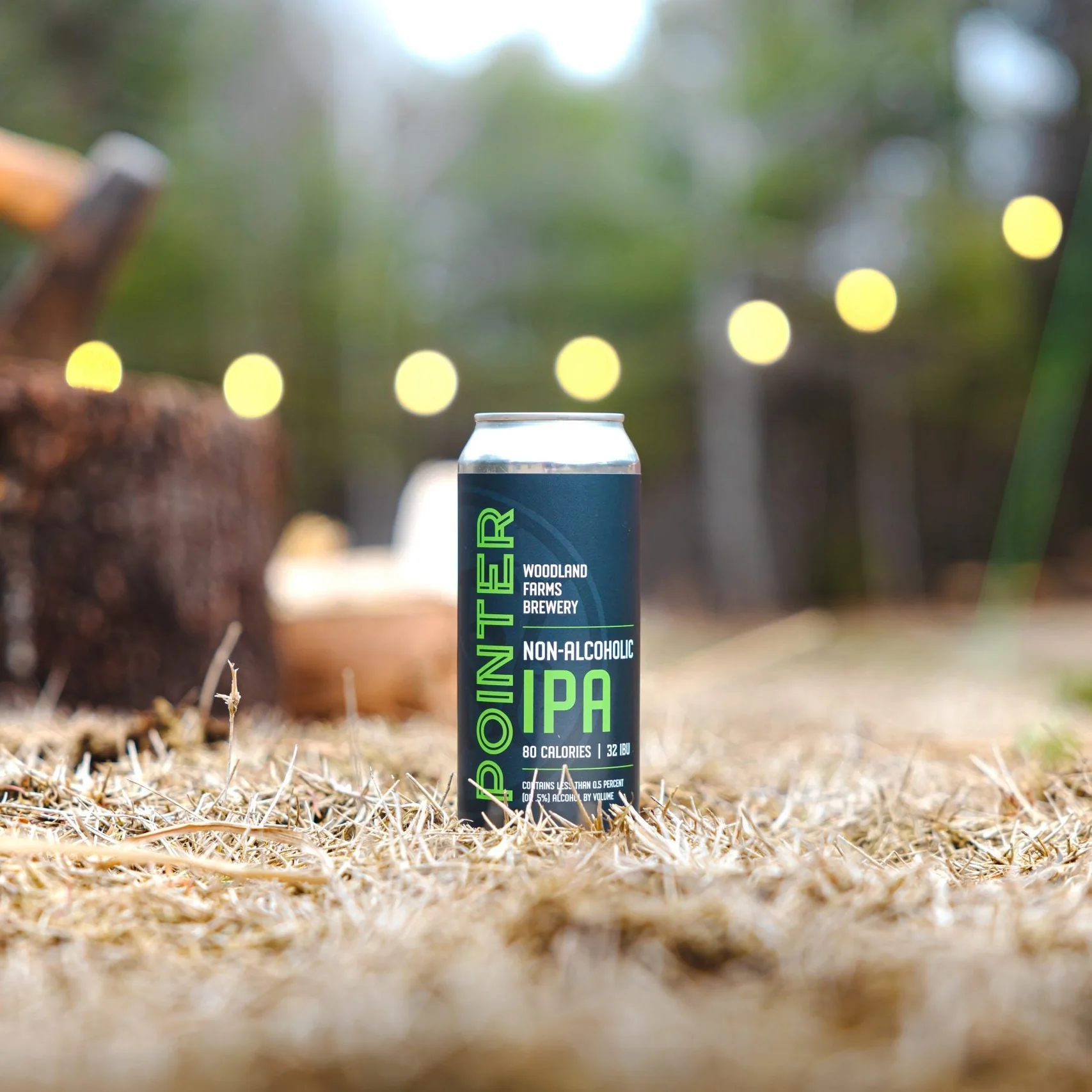 Pointer - Non-Alcoholic IPA, 4 pack - Image 2